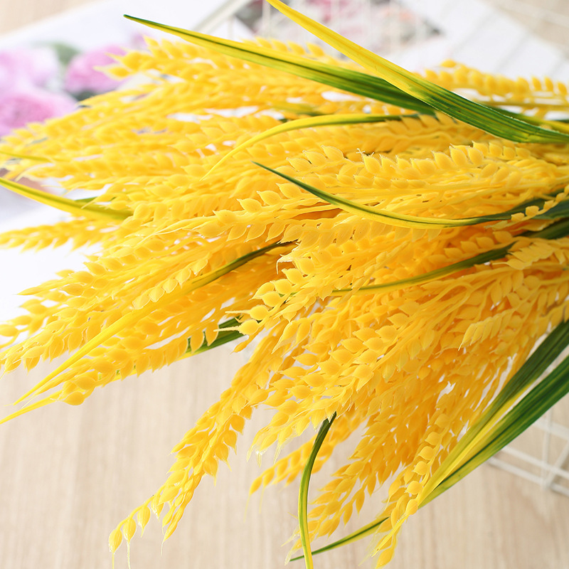 O1CN01cT2EjO1t28t7EYTPQ_!!2211054865843-0-cib O1CN01cT2EjO1t28t7EYTPQ_!!2211054865843-0-cib